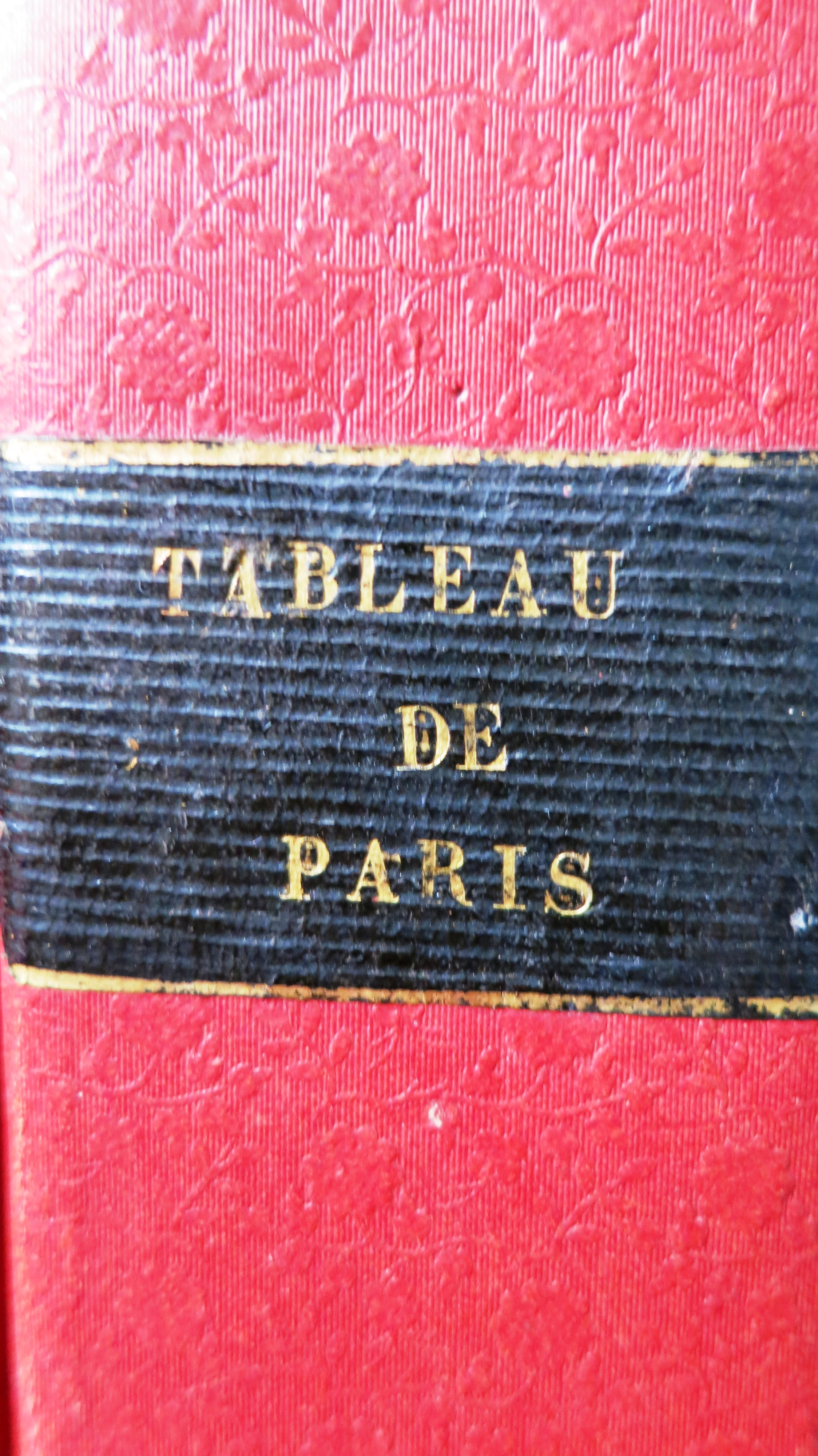 Tableau historique et pittoresque de Paris.