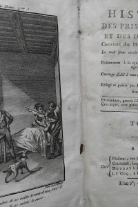 Histoire des prisons de Paris et des départemens  contenant des Mémoires rares et précieux
