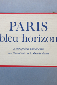 Paris bleu horizon